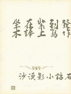 坐在紫到发黑的木棒上写作业