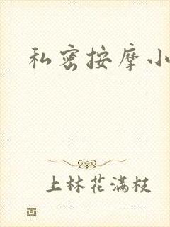 私密按摩小说
