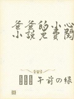 爸爸的小心肝儿小说免费阅读