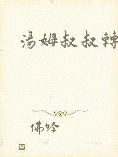 汤姆叔叔转接口