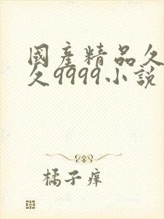 国产精品久久久久9999小说