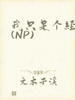 我只是个经纪人(NP)