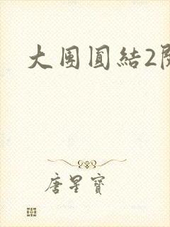 大团圆结2阅读