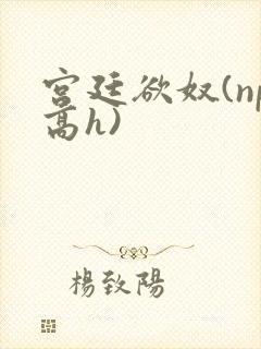 宫廷欲奴(np高h)