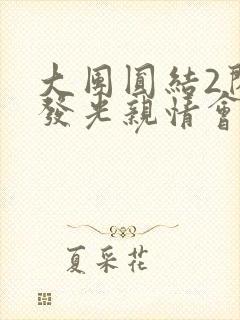 大团圆结2闪闪发光亲情会