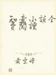 知意小说全文免费阅读