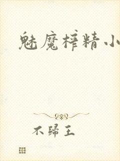 魅魔榨精小说