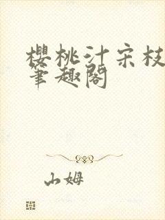 樱桃汁宋枝江野笔趣阁