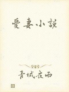 爱妻小说