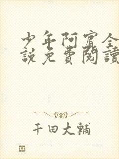 少年阿宾全文小说免费阅读笔趣阁