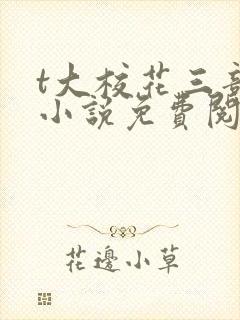 t大校花三部曲小说免费阅读全文