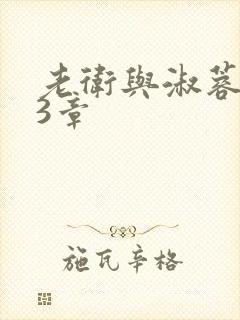 老卫与淑蓉第13章