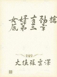 女婿有劲枪枪到底第三章