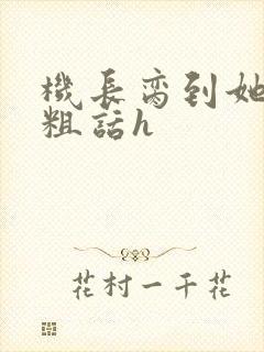 机长脔到她哭h粗话h