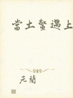 当土鳖遇上海龟