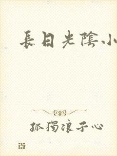 长日光阴小说