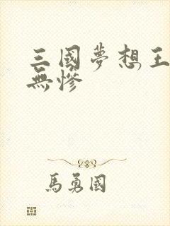 三国梦想王元姬无惨