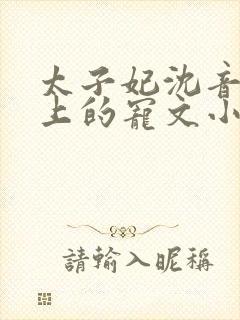 太子妃沈音和皇上的宠文小说