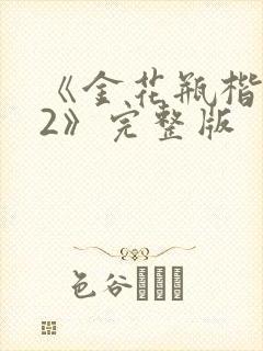 《金花瓶楷梅花2》完整版
