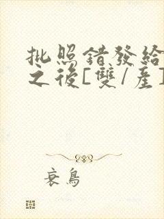 批照错发给情敌之后[双/产]