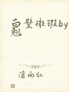 白璧微瑕by连翘