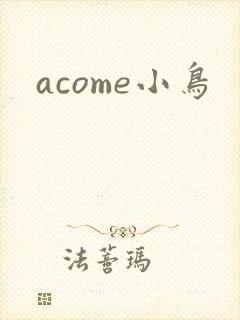 acome小鸟