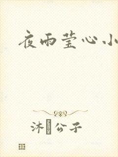 夜雨莹心小说