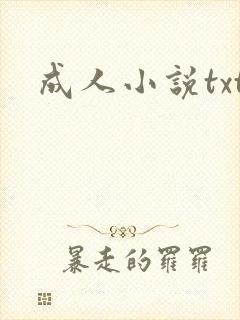 成人小说txt