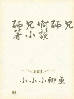 师兄啊师兄的原著小说