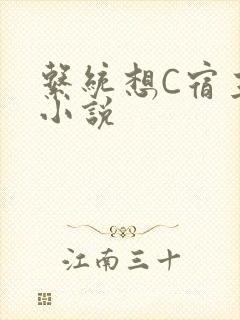 系统想C宿主的小说