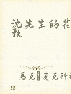 沈先生的花式管教