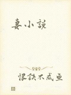 妻小说