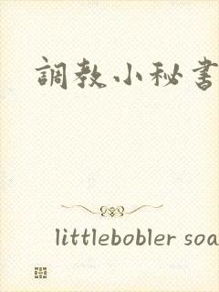 调教小秘书