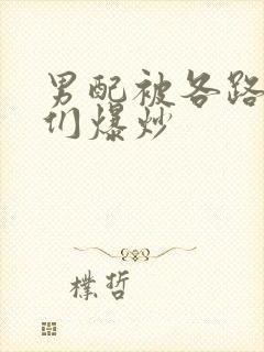 男配被各路大佬们爆炒