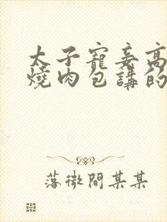 太子宠妾高肉红烧肉包讲的什么