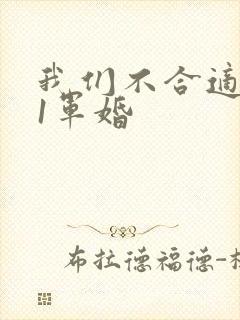 我们不合适1v1军婚