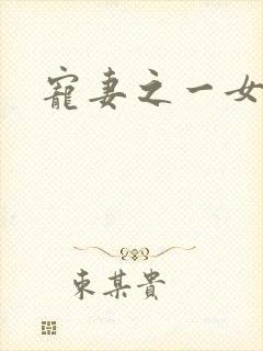 宠妻之一女二夫