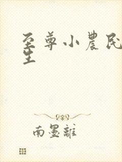 至尊小农民王木生