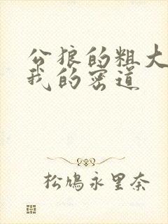 公狼的粗大挺进我的密道