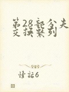 第28部分夫妇交换系列