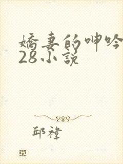 娇妻的呻吟1—28小说