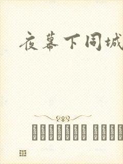 夜幕下同城网