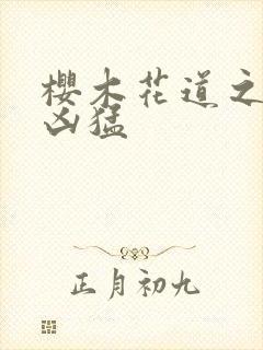 樱木花道之重生凶猛