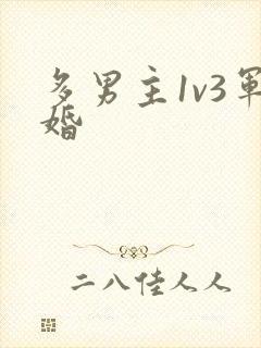 多男主1v3军婚