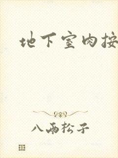 地下室肉按摩椅