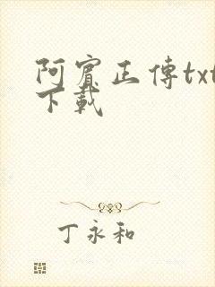 阿宾正传txt下载