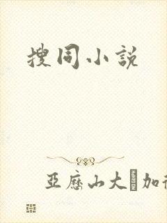 搜同小说