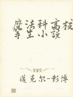 魔法科高校的劣等生小说