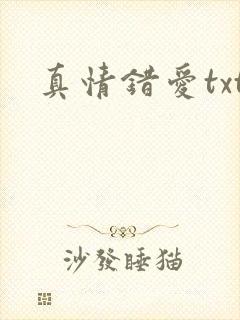 真情错爱txt