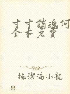 寸寸销魂何生祥全本免费